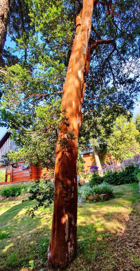Laderas Del Campanario Villa San Carlos de Bariloche Kültér fotó